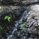 L'eau à Mayotte, une ressource fragile